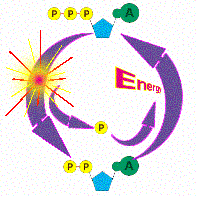 cycle energy