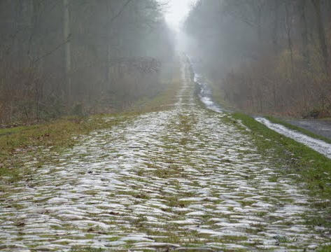 arenberg forest