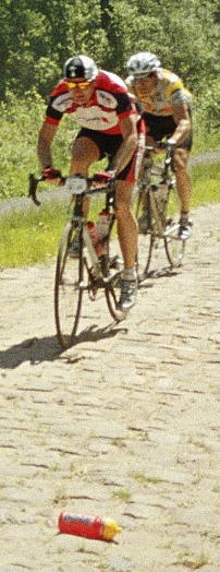 Paris Roubaix ~ Arenberg Forest